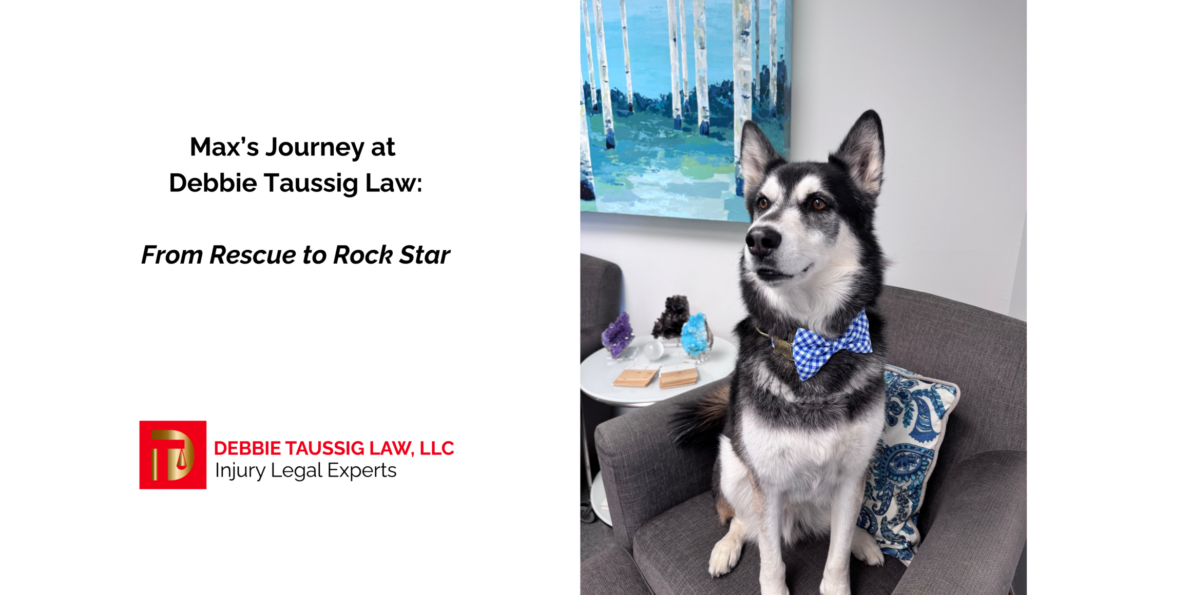 From Rescue to Rockstar: Max’s Journey at Debbie Taussig Law